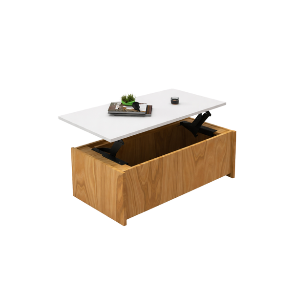 Hydraulic Storage Coffee Table