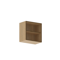 IOB Wall Cabinet With Loose Shelf